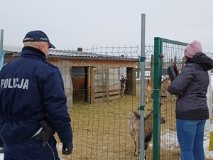 Kontrola miejsca przebywania zwierząt bezpańskich prze Policję służby weterynaryjne i pracownika urzędu.