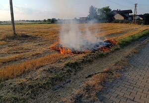 Funkcjonariusze ugasili pożar ścierniska