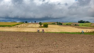 PZU Zdrowie Pałecznica Race 2026 Kościuszkowski Klasyk - Amatorski Szosowy Wyścig Kolarski i Mistrzostwa Polski Służb Mundurowych w Kolarstwie Szosowym.