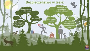 Plakaty z informacjami, poradami na czas letniego wypoczynku